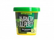 Набор ВЫРАСТИ ДЕРЕВО! Лиственница сибирская