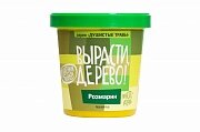 Набор ВЫРАСТИ ДЕРЕВО! Розмарин