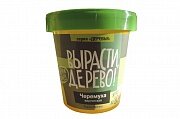 Набор ВЫРАСТИ ДЕРЕВО! Черёмуха виргинская