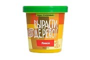 Набор ВЫРАСТИ ДЕРЕВО! Лимон