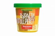 Набор ВЫРАСТИ ДЕРЕВО! Земляника ананасная
