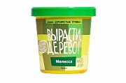 Набор ВЫРАСТИ ДЕРЕВО! Мелисса