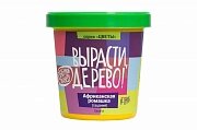 Набор ВЫРАСТИ ДЕРЕВО! Африканская ромашка