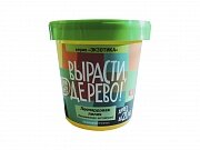 Набор ВЫРАСТИ ДЕРЕВО! Леопардовая Лилия
