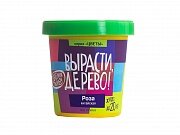 Набор ВЫРАСТИ ДЕРЕВО! Роза китайская
