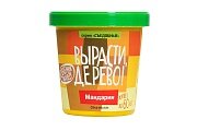 Набор ВЫРАСТИ ДЕРЕВО! Мандарин