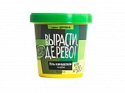 Набор ВЫРАСТИ ДЕРЕВО! Ель канадская голубая