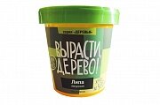Набор ВЫРАСТИ ДЕРЕВО! Липа Амурская