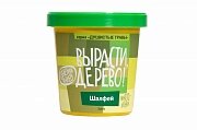 Набор ВЫРАСТИ ДЕРЕВО! Шалфей