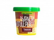 Набор ВЫРАСТИ ДЕРЕВО! Гардения